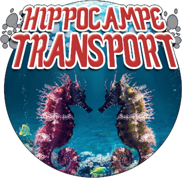 Site Hippocampe Transport