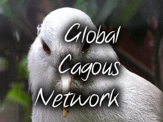 Site Académie Cagous